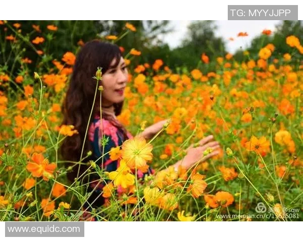 与杨丽对话探讨她的足球生涯与成长历程的精彩瞬间