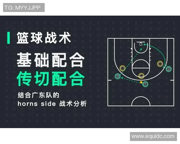 南京篮球队阵地战革新探索新战术提升球队竞争力与观赏性