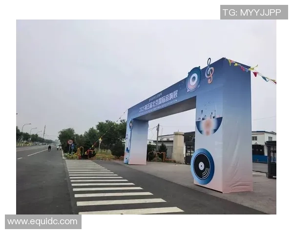 北京篮球队在世界锦标赛上的拼搏历程与荣耀时刻全景回顾