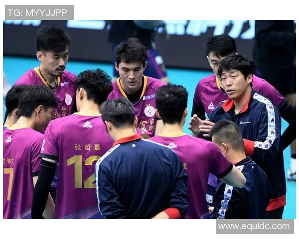 上海排球队在全国排球团队协作排行榜中荣获第六名的佳绩分析