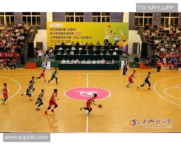 张芳篮球生涯回顾与展望对话分享运动精神与成长故事