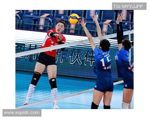 深圳排球队在排球个人能力排行榜中荣登第六名展现实力与潜力