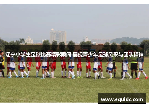 辽宁小学生足球比赛精彩瞬间 展现青少年足球风采与团队精神