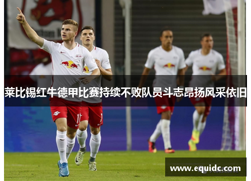 莱比锡红牛德甲比赛持续不败队员斗志昂扬风采依旧