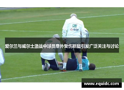 爱尔兰与威尔士激战中球员意外受伤断腿引发广泛关注与讨论